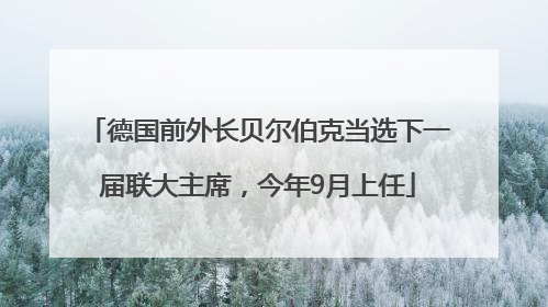 德国前外长贝尔伯克当选下一届联大主席，今年9月上任