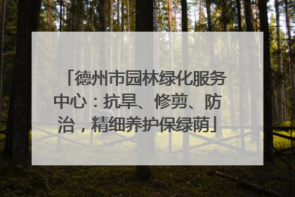 德州市园林绿化服务中心：抗旱、修剪、防治，精细养护保绿荫