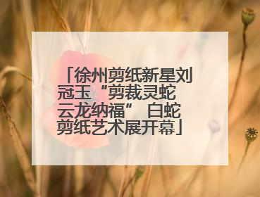徐州剪纸新星刘冠玉“剪裁灵蛇 云龙纳福” 白蛇剪纸艺术展开幕
