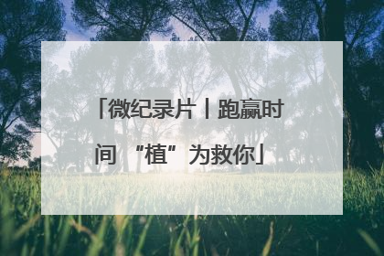 微纪录片丨跑赢时间 “植”为救你