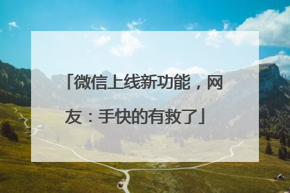 微信上线新功能，网友：手快的有救了