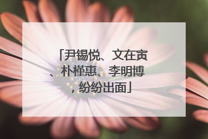 尹锡悦、文在寅、朴槿惠、李明博，纷纷出面