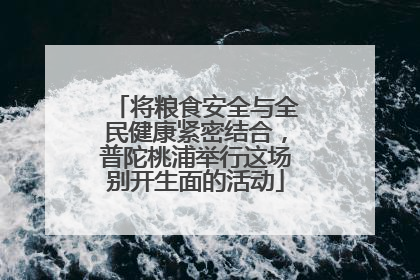 将粮食安全与全民健康紧密结合，普陀桃浦举行这场别开生面的活动