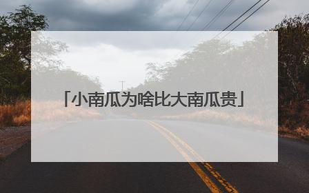 小南瓜为啥比大南瓜贵