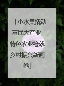 小水果撬动富民大产业 特色农业绘就乡村振兴新画卷