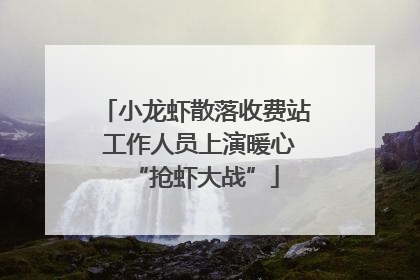 小龙虾散落收费站 工作人员上演暖心“抢虾大战”
