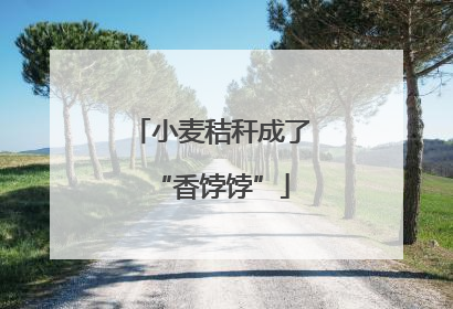 小麦秸秆成了“香饽饽”