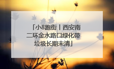 小8跑街丨西安南二环金水路口绿化带垃圾长期未清