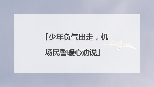 少年负气出走，机场民警暖心劝说