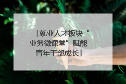 就业人才板块“业务微课堂”赋能青年干部成长