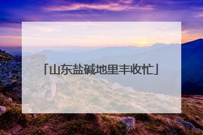 山东盐碱地里丰收忙