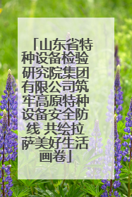 山东省特种设备检验研究院集团有限公司筑牢高原特种设备安全防线 共绘拉萨美好生活画卷