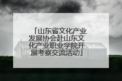 山东省文化产业发展协会赴山东文化产业职业学院开展考察交流活动