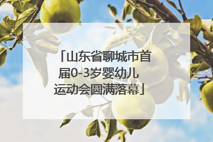 山东省聊城市首届0-3岁婴幼儿运动会圆满落幕