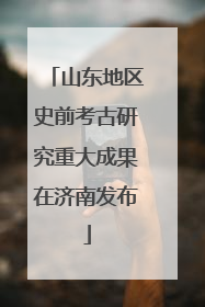山东地区史前考古研究重大成果在济南发布