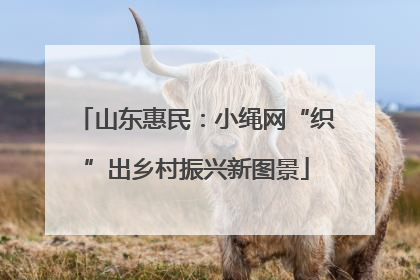 山东惠民：小绳网“织”出乡村振兴新图景
