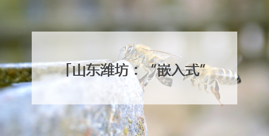山东潍坊：“嵌入式”养老让老人近享幸福