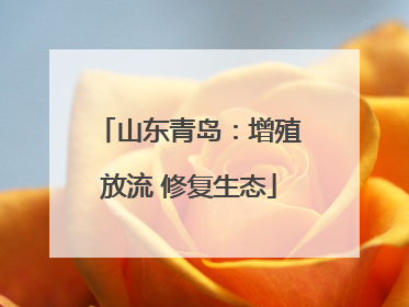 山东青岛：增殖放流 修复生态