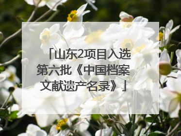 山东2项目入选第六批《中国档案文献遗产名录》