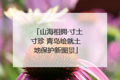 山海相拥·寸土寸珍 青岛绘就土地保护新图景