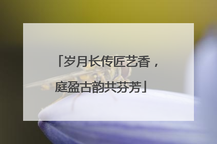 岁月长传匠艺香，庭盈古韵共芬芳