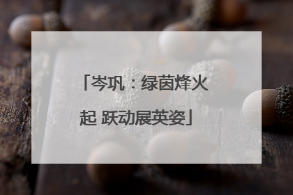 岑巩：绿茵烽火起 跃动展英姿