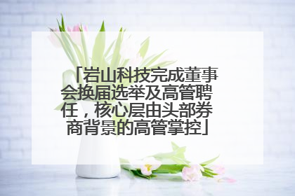 岩山科技完成董事会换届选举及高管聘任，核心层由头部券商背景的高管掌控