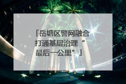 岳塘区警网融合 打通基层治理“最后一公里”