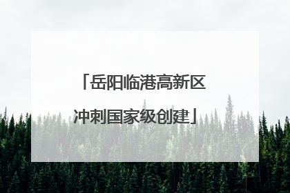 岳阳临港高新区冲刺国家级创建