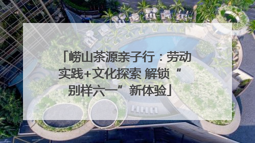 崂山茶源亲子行：劳动实践+文化探索 解锁“别样六一”新体验