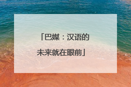 巴媒：汉语的未来就在眼前