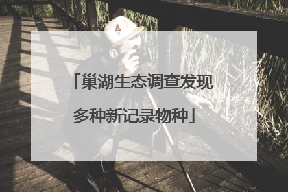 巢湖生态调查发现多种新记录物种