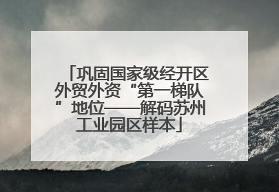 巩固国家级经开区外贸外资“第一梯队”地位——解码苏州工业园区样本