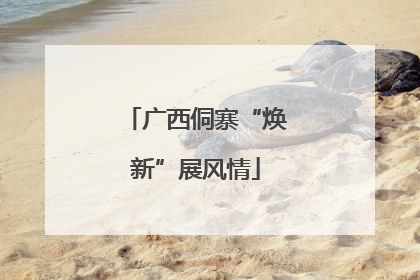 广西侗寨“焕新”展风情