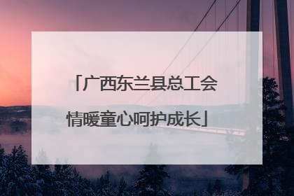 广西东兰县总工会情暖童心呵护成长
