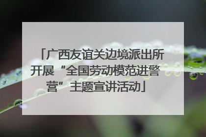 广西友谊关边境派出所开展“全国劳动模范进警营”主题宣讲活动