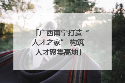 广西南宁打造“人才之家” 构筑人才聚集高地