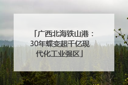 广西北海铁山港：30年蝶变超千亿现代化工业强区