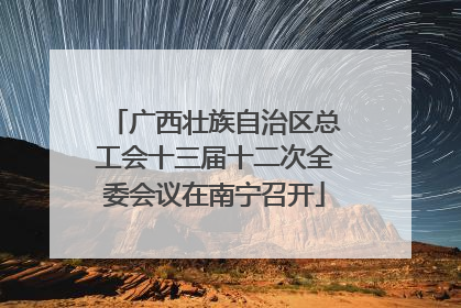广西壮族自治区总工会十三届十二次全委会议在南宁召开