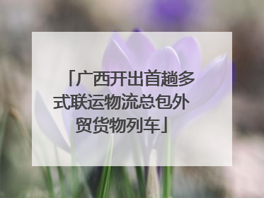 广西开出首趟多式联运物流总包外贸货物列车