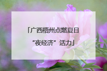 广西梧州点燃夏日“夜经济”活力
