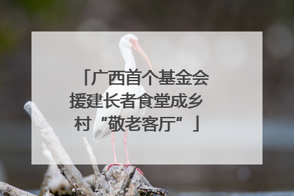 广西首个基金会援建长者食堂成乡村“敬老客厅”