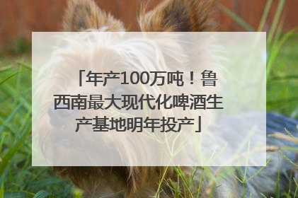 年产100万吨！鲁西南最大现代化啤酒生产基地明年投产
