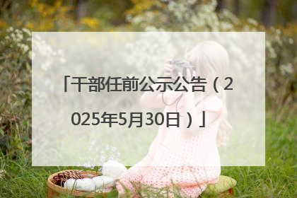 干部任前公示公告（2025年5月30日）