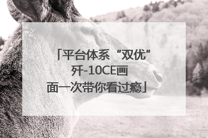 平台体系“双优”  歼-10CE画面一次带你看过瘾