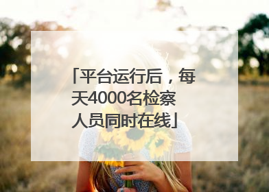 平台运行后，每天4000名检察人员同时在线