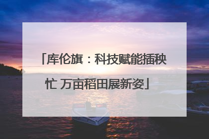 库伦旗：科技赋能插秧忙 万亩稻田展新姿