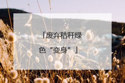 废弃秸秆绿色“变身”