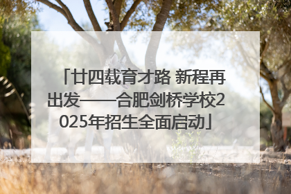 廿四载育才路 新程再出发——合肥剑桥学校2025年招生全面启动