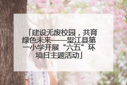 建设无废校园，共育绿色未来——望江县第一小学开展“六五”环境日主题活动